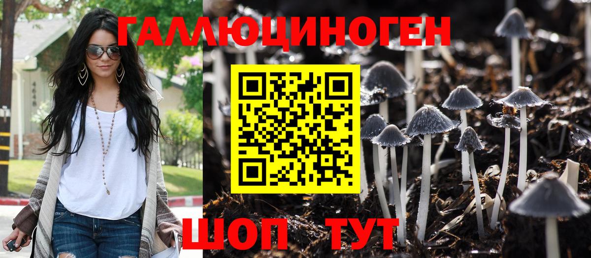 Галлюциногенные грибы MAGIC MUSHROOMS Бугуруслан